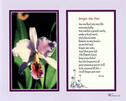 Forget_me_Not poem photo