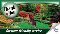 Thank You for Your Friendly Service business witness card