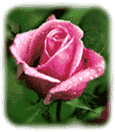 Words of Love